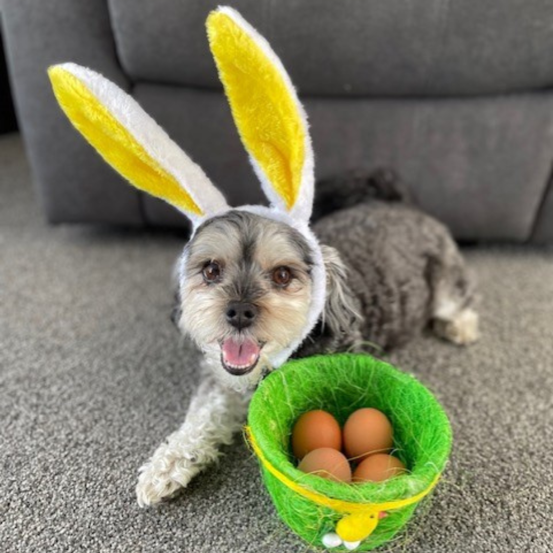 Easter Safety Tips