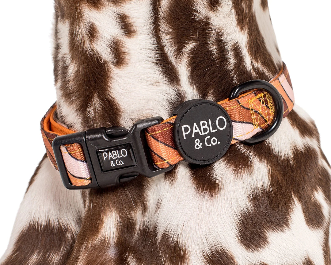 Espresso Swirl: Dog Collar- S