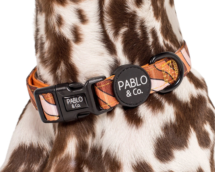 Espresso Swirl: Dog Collar- S