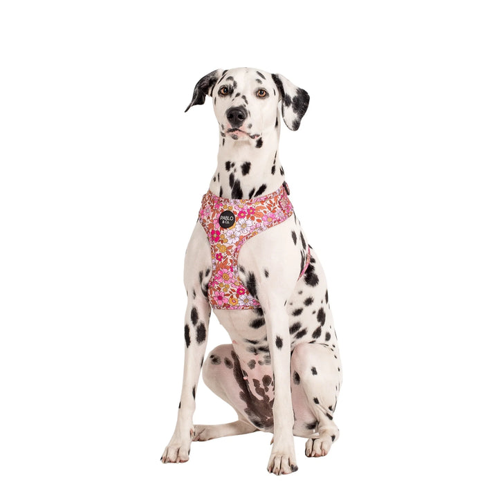 Pink Posies: Adjustable Harness- XS