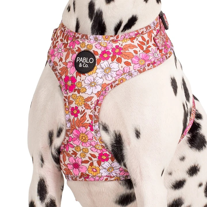 Pink Posies: Adjustable Harness- XS