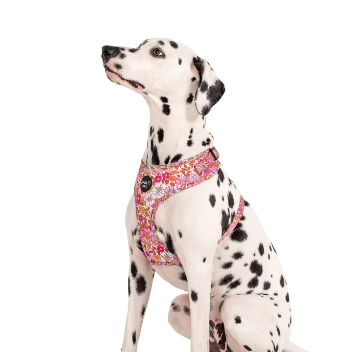 Pink Posies: Adjustable Harness- XS