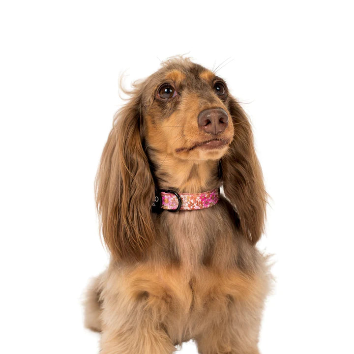 Pink Posies Collar- L