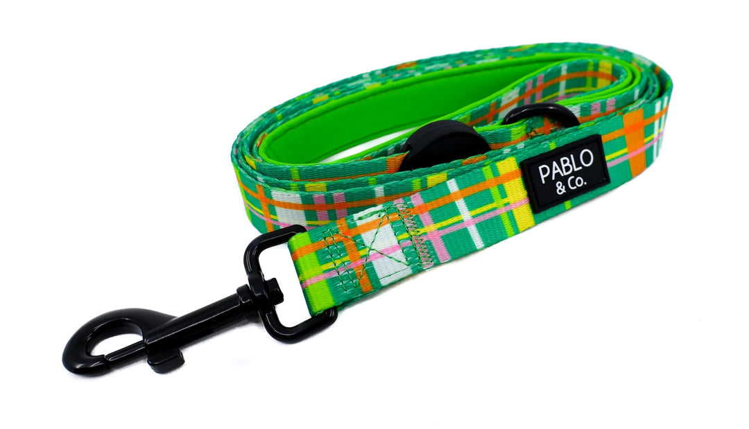 Groovy Grid: Dog Leash- 1.5cm