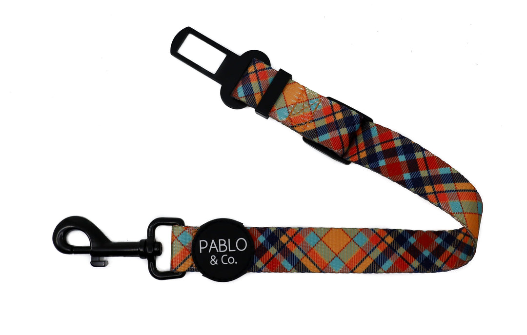 Tartan- Car Restraint- Small