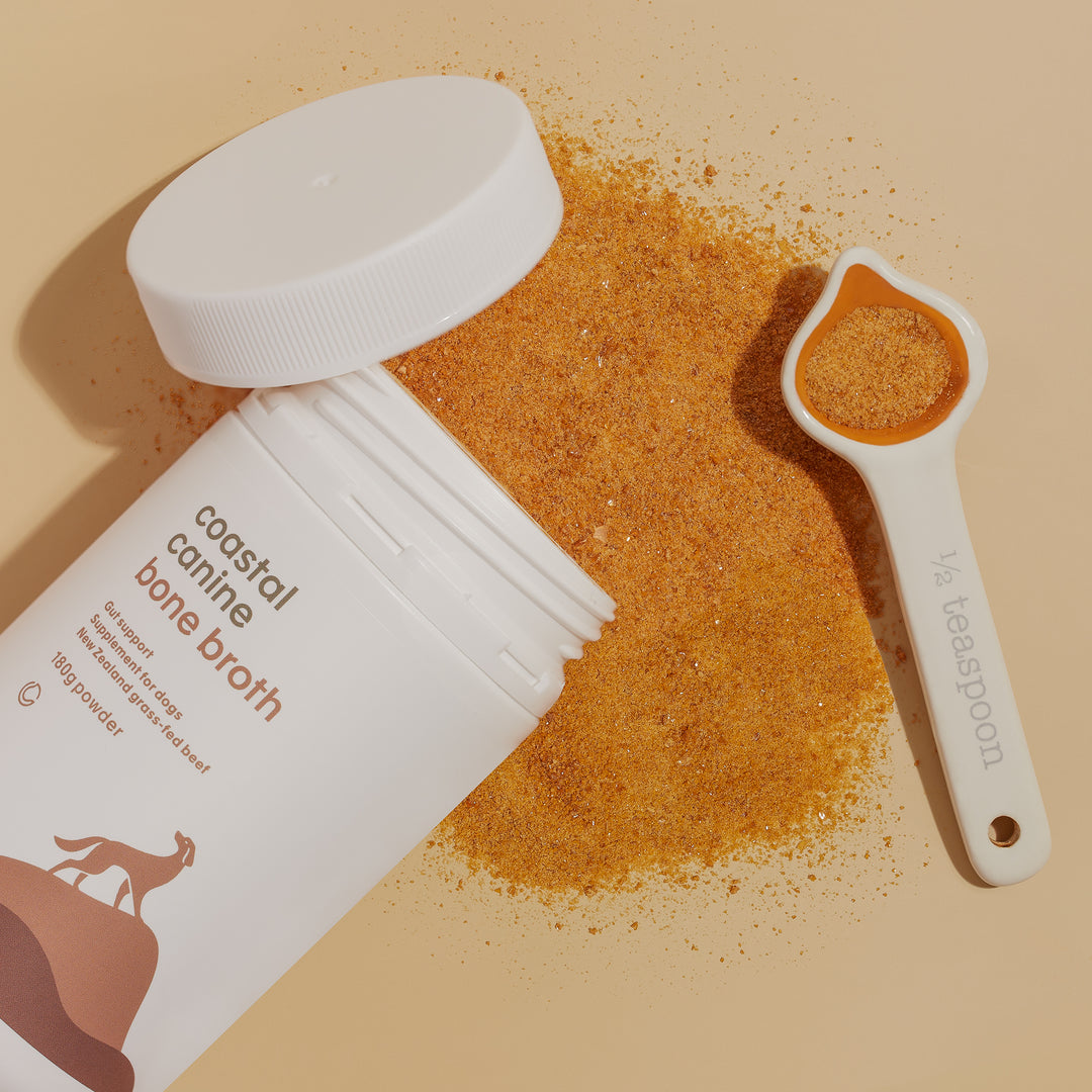 Coastal Canine Bone Broth 60gram Pouch