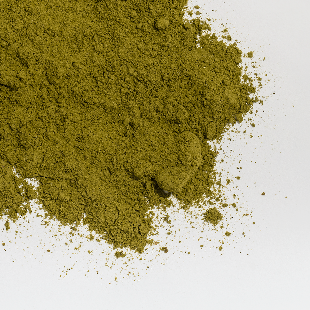 Coastal Canine Joint Boost Powder 100gm Pottle