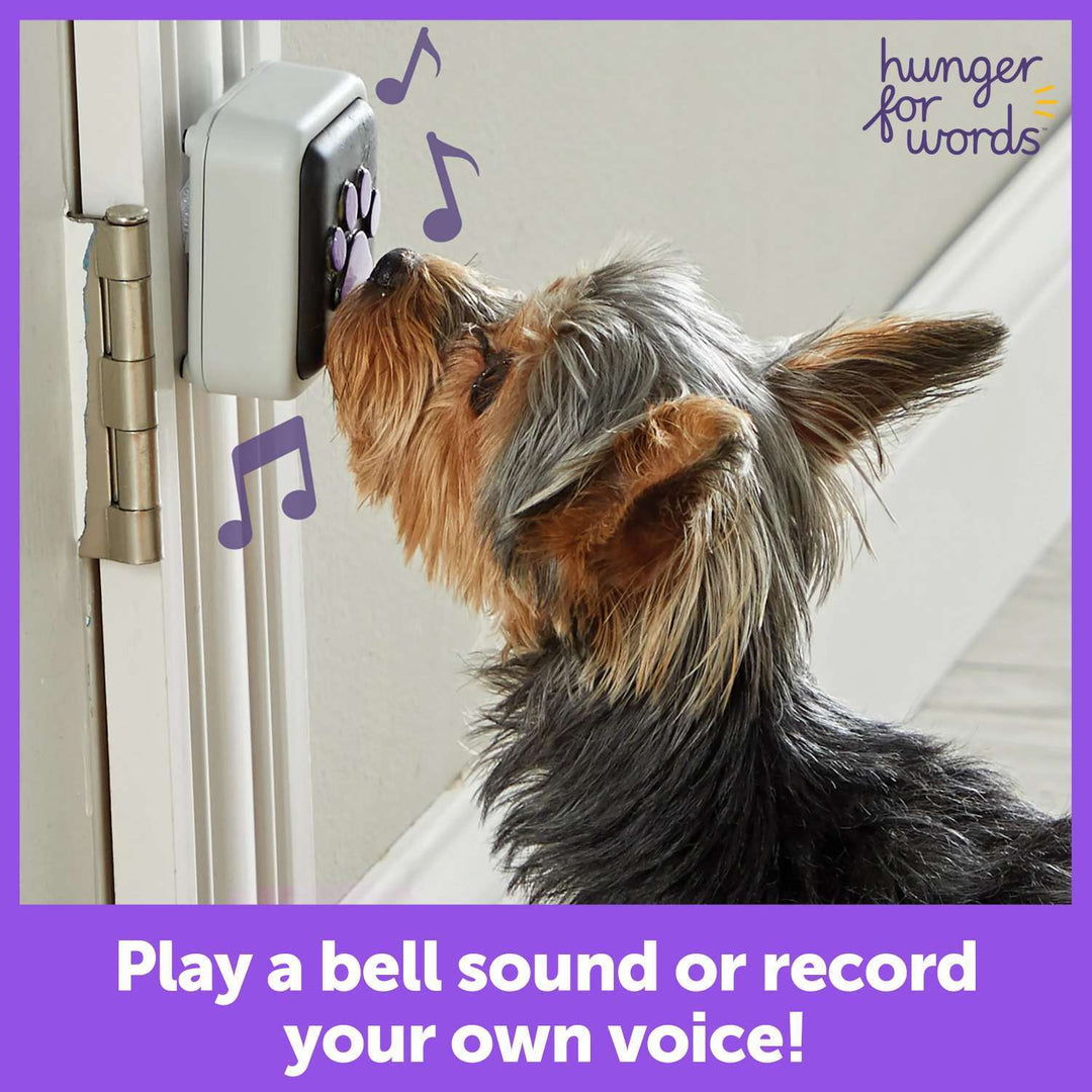 Hunger For Words Talking Pet Starter Set