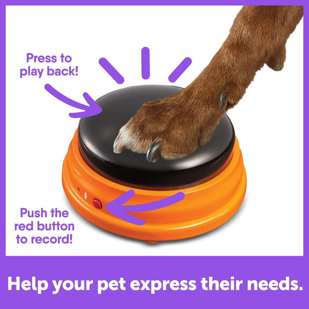 Hunger For Words Talking Pet Doorbell