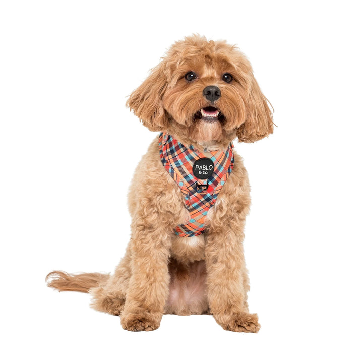 Tartan: Adjustable Harness- XS