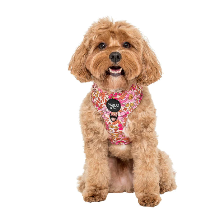 Pink Posies: Adjustable Harness- XS