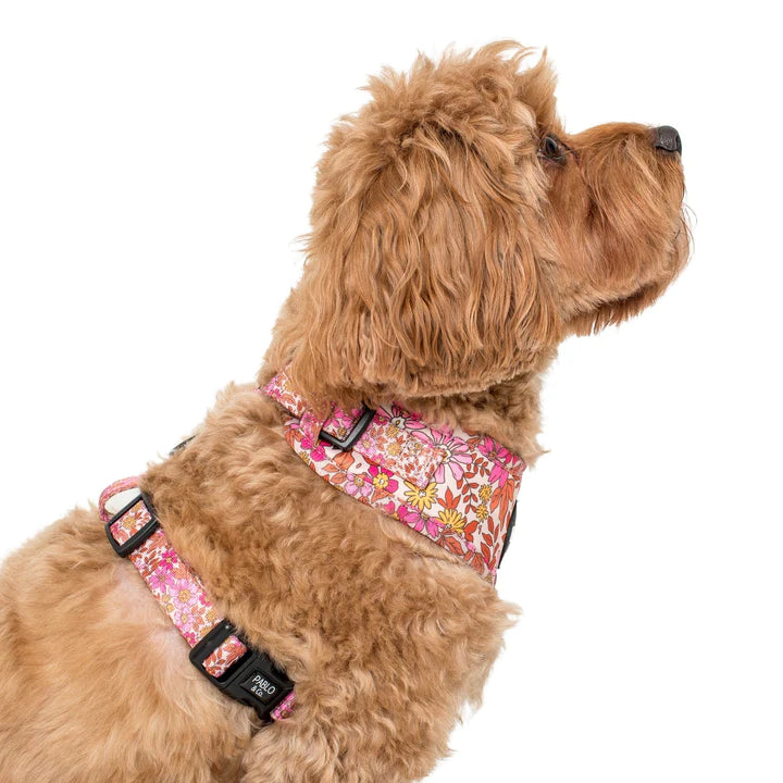 Pink Posies: Adjustable Harness- XS