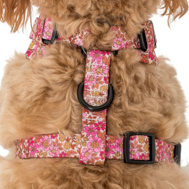 Pink Posies: Adjustable Harness- XS
