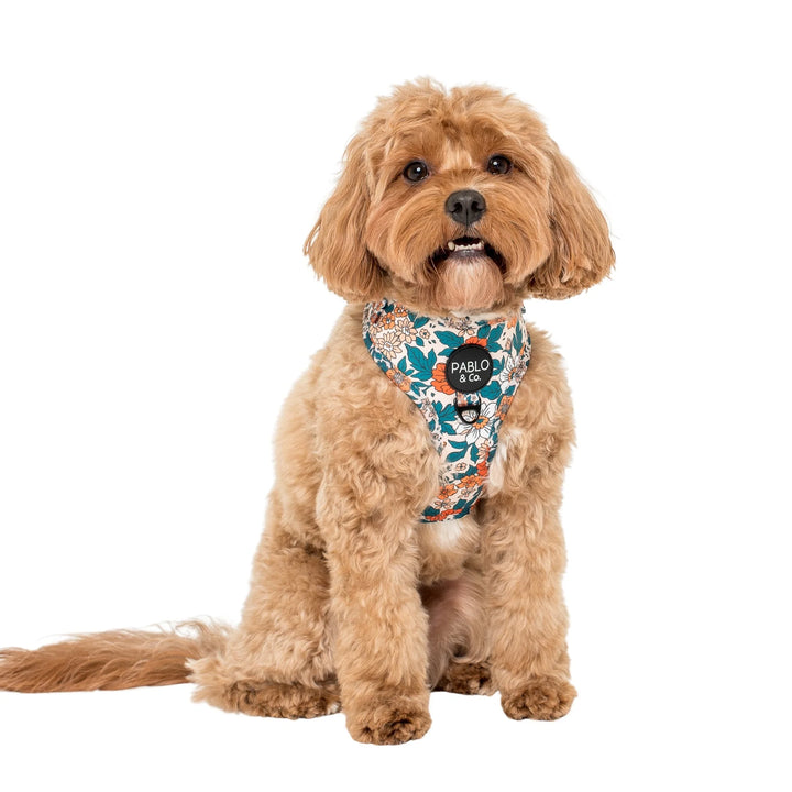 Wildflowers- Adjustable Harness - XS