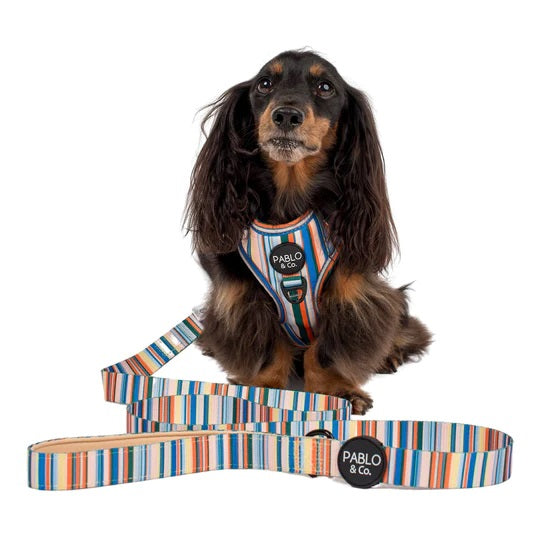 The Cabana- Lead-2.5cm