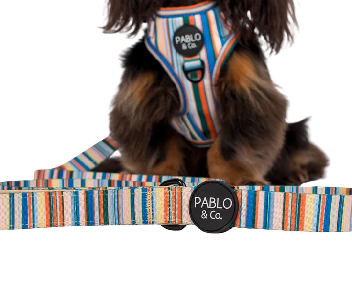 The Cabana- Lead-2.5cm