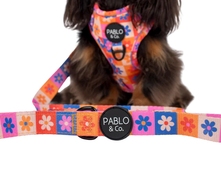 Daisies for Days-Lead- 2.5cm