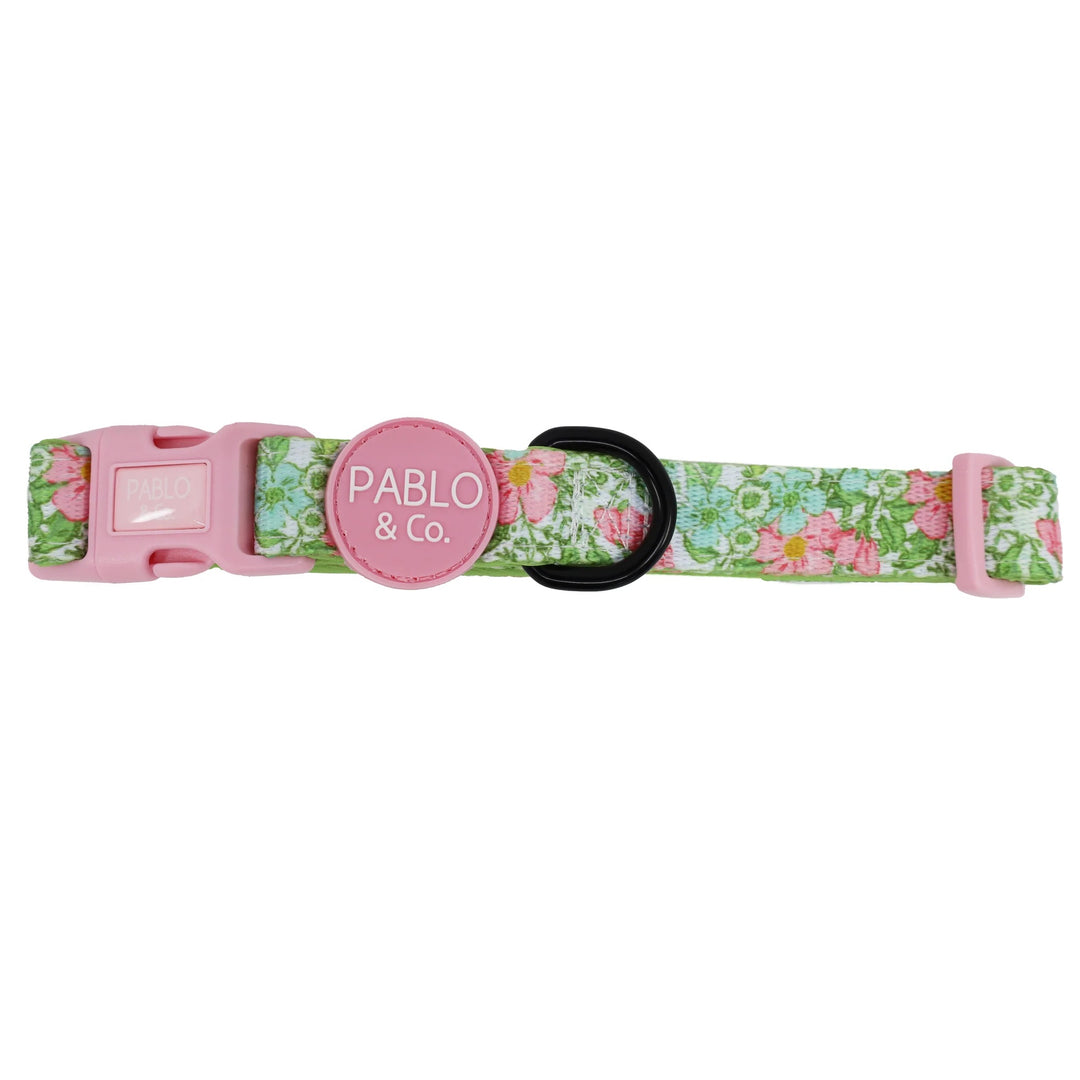 Flora and Fern: Collar- S