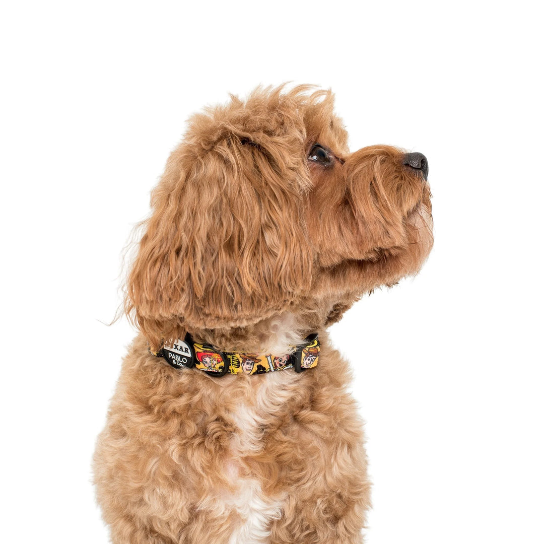 Toy Story - Woody's Roundup: Dog Collar- XS