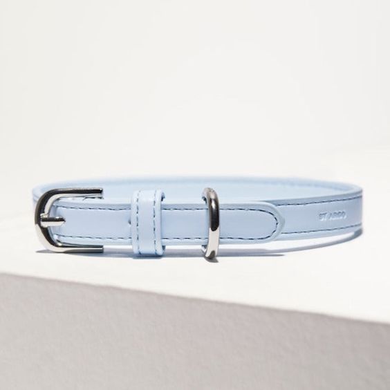 St Argo Collar- Soft Blue: LRG
