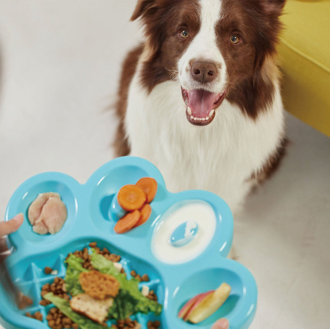 Maintaining Your Pets Weight