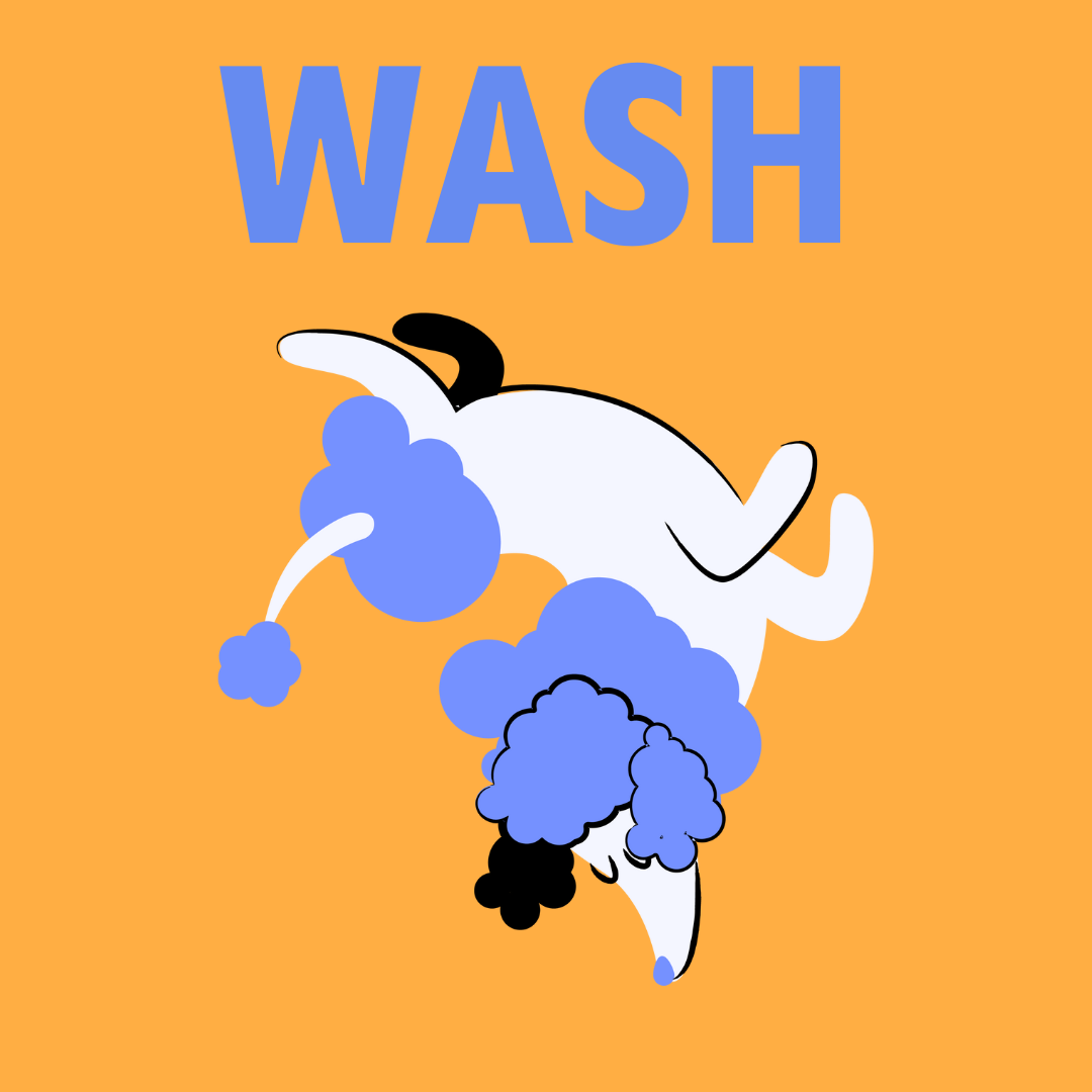 Wash