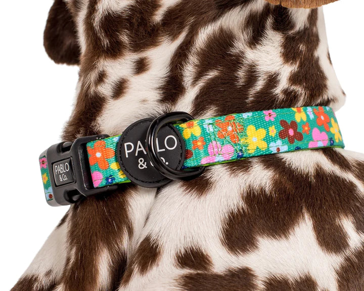 Funky Flowers: Dog Collar- XS