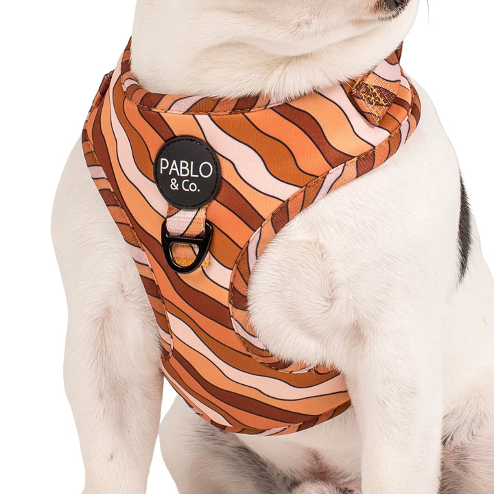 Espresso Swirl: Adjustable Harness- XS