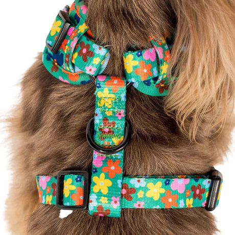 Funky Flowers: Adjustable Harness- XS