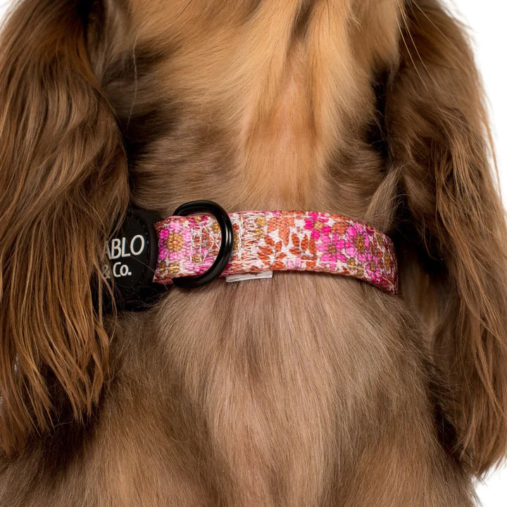 Pink Posies: Dog Collar- S