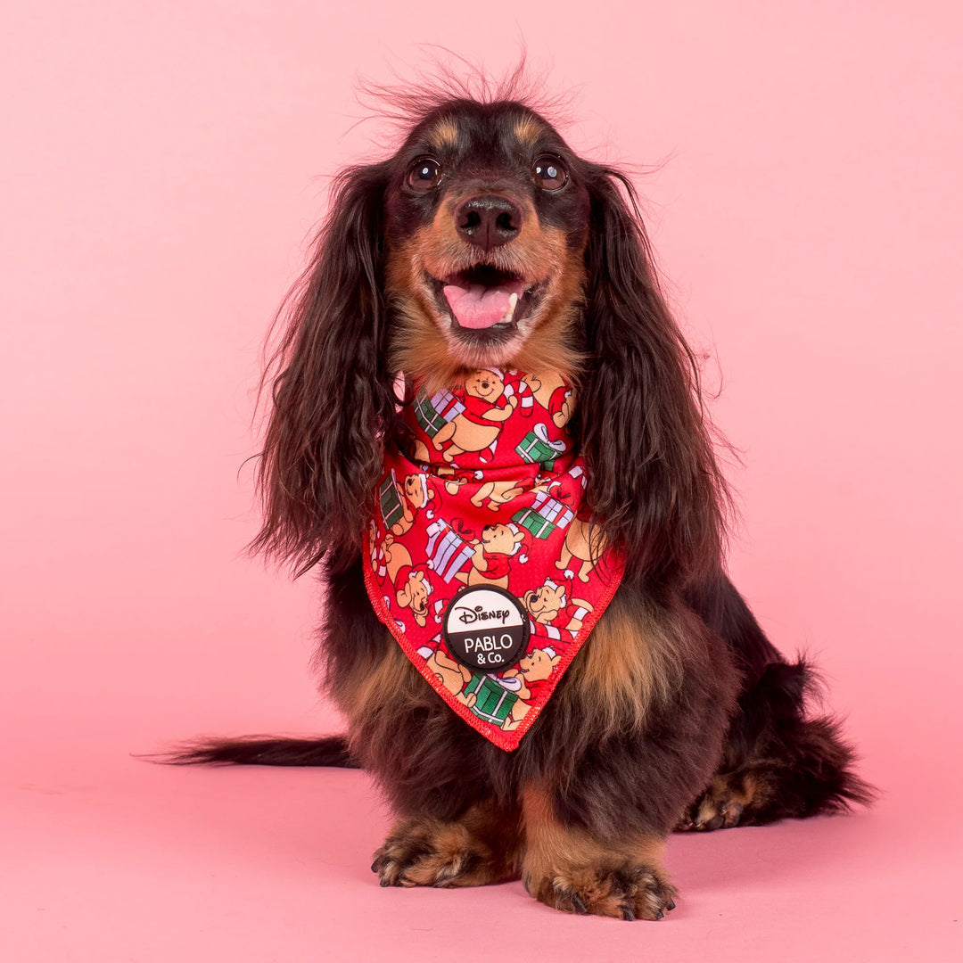 Winnie the Pooh Christmas: Dog Bandana- Small