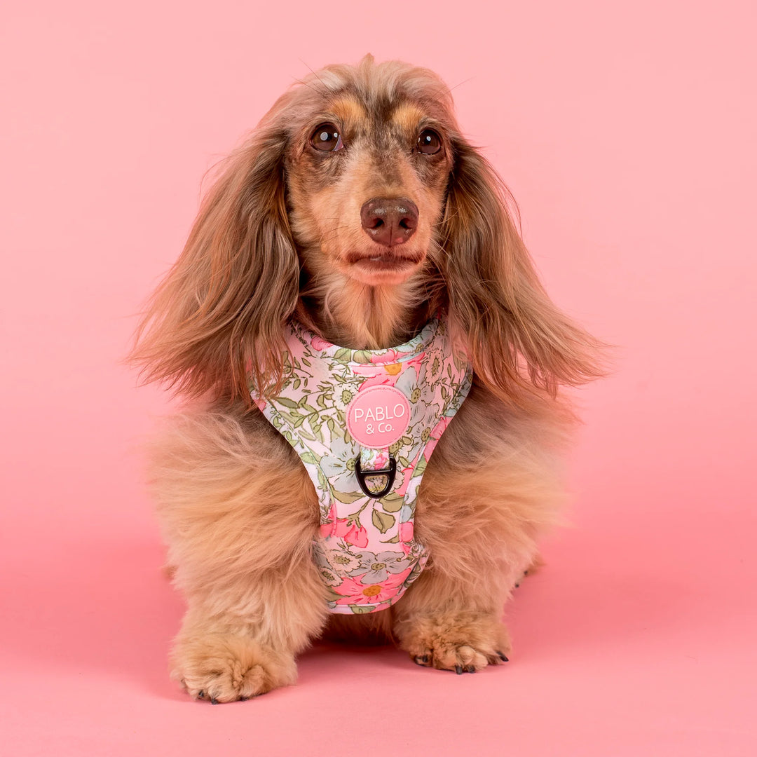Flora and Fern: Adjustable Harness- Small