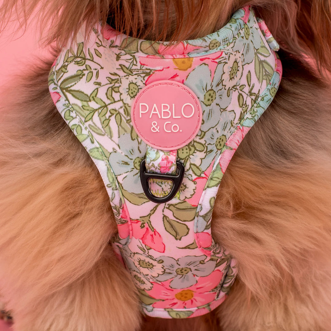 Flora and Fern: Adjustable Harness- Small