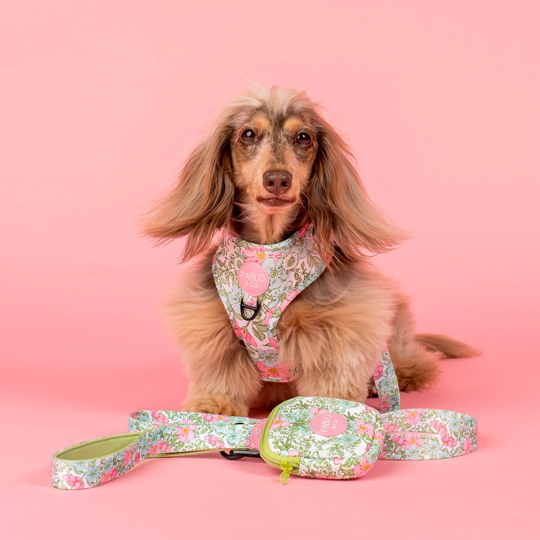 Flora and Fern- Dog Leash- 2.5cm