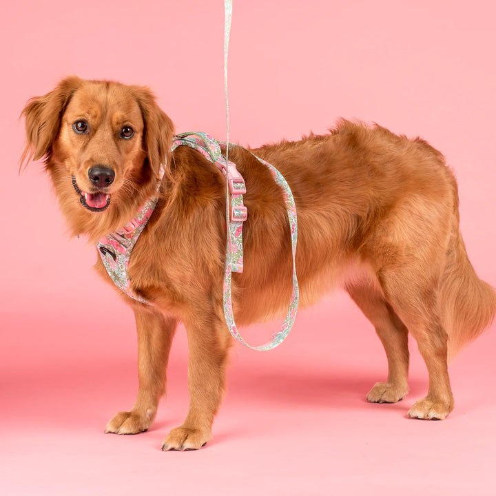 Flora and Fern- Dog Leash- 2.5cm