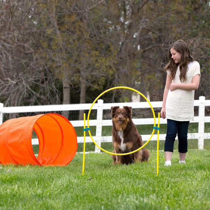 Outdoor Agility Kit by Outward Hound