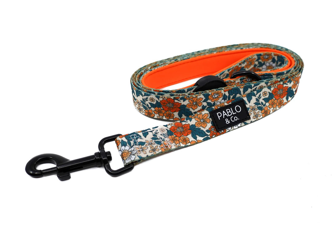 Wildflowers - Dog Leash - 1.5cm