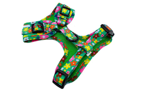 Funky Flowers: Adjustable Harness- XL