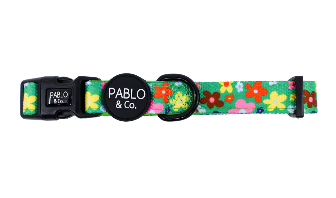 Funky Flowers: Dog Collar- XS