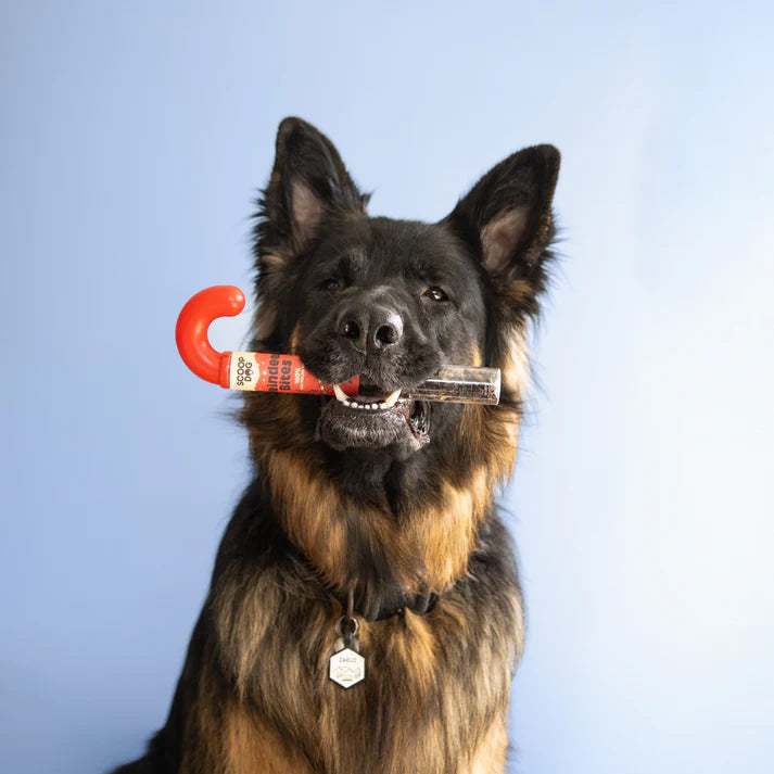 Scoop Dog Candy Cane- Reindeer Bites