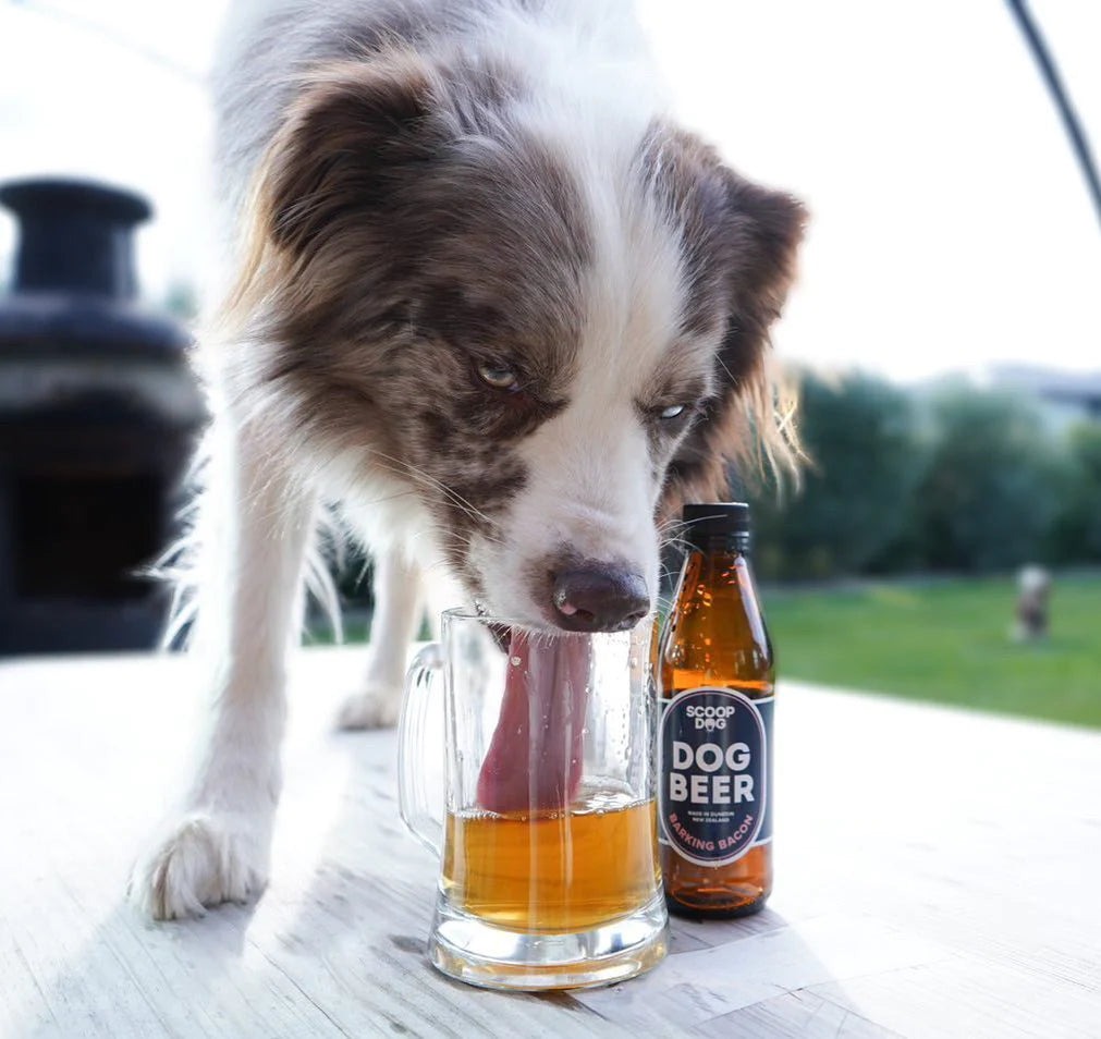 Scoop Dog- Dog Beer