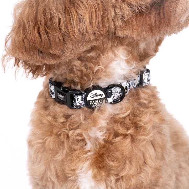 101 Dalmatians: Dog Collar- L