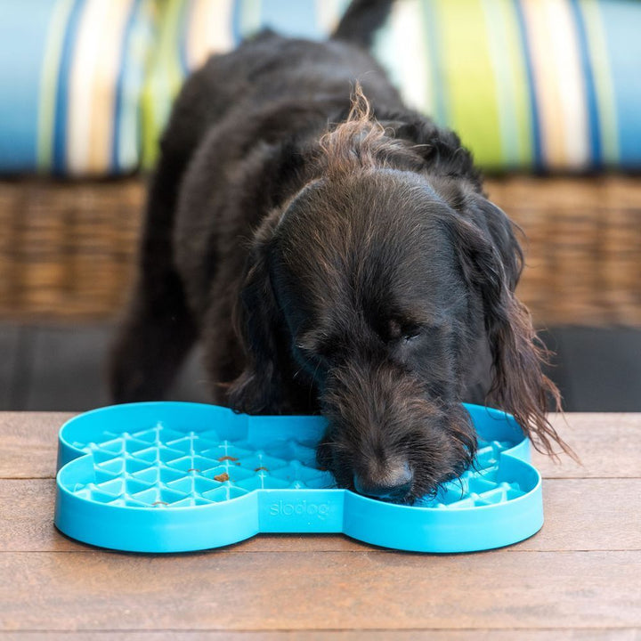 Slodog - Slow Feeder Plate - Bone Blue