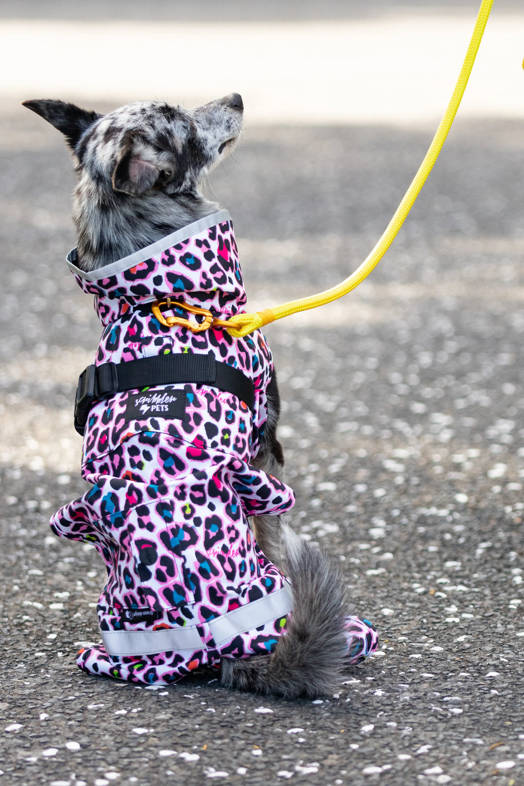 Scribbler Raincoat- Neon Leopard- 30