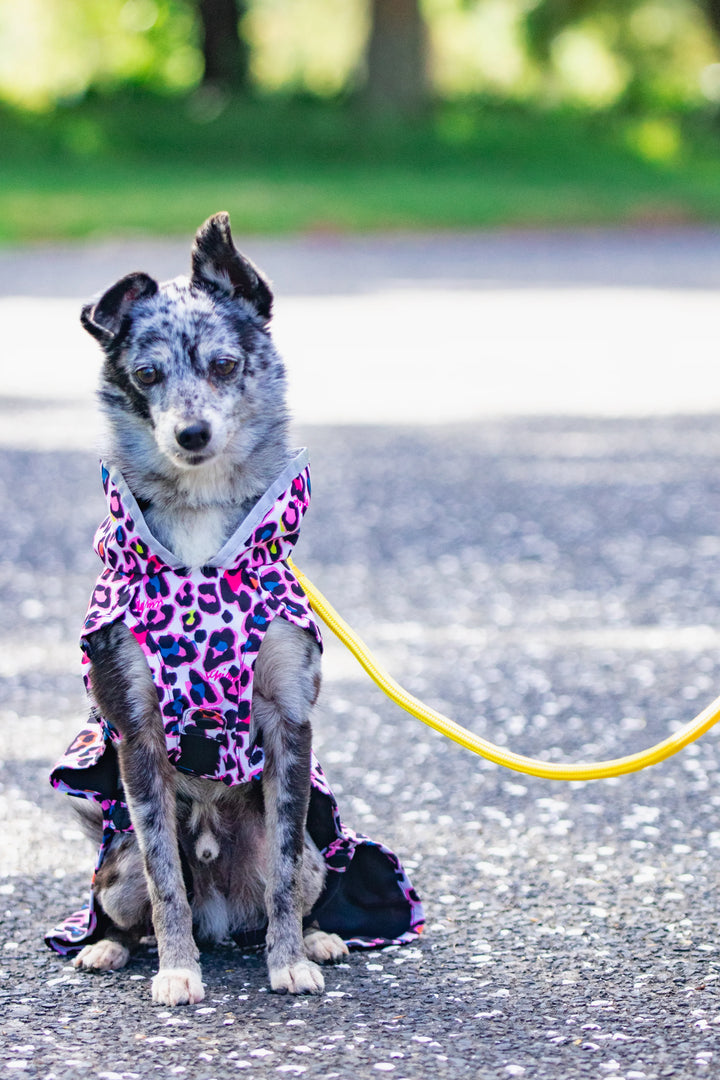 Scribbler Raincoat- Neon Leopard- 30