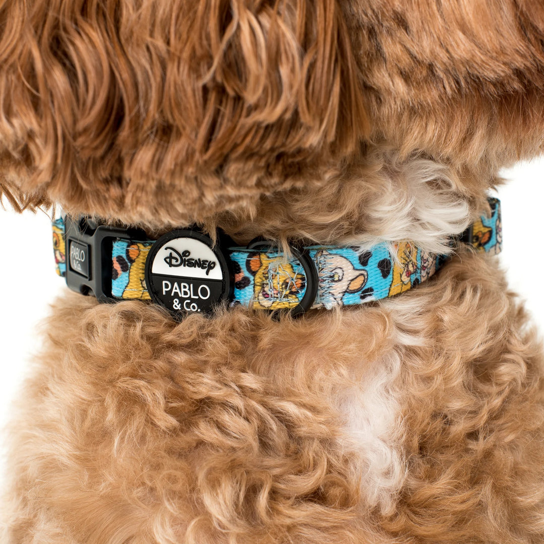 The Lion King Collar- XS