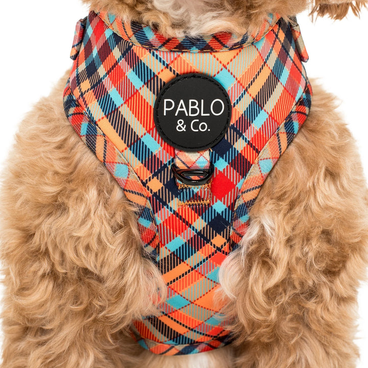 Tartan: Adjustable Harness- L