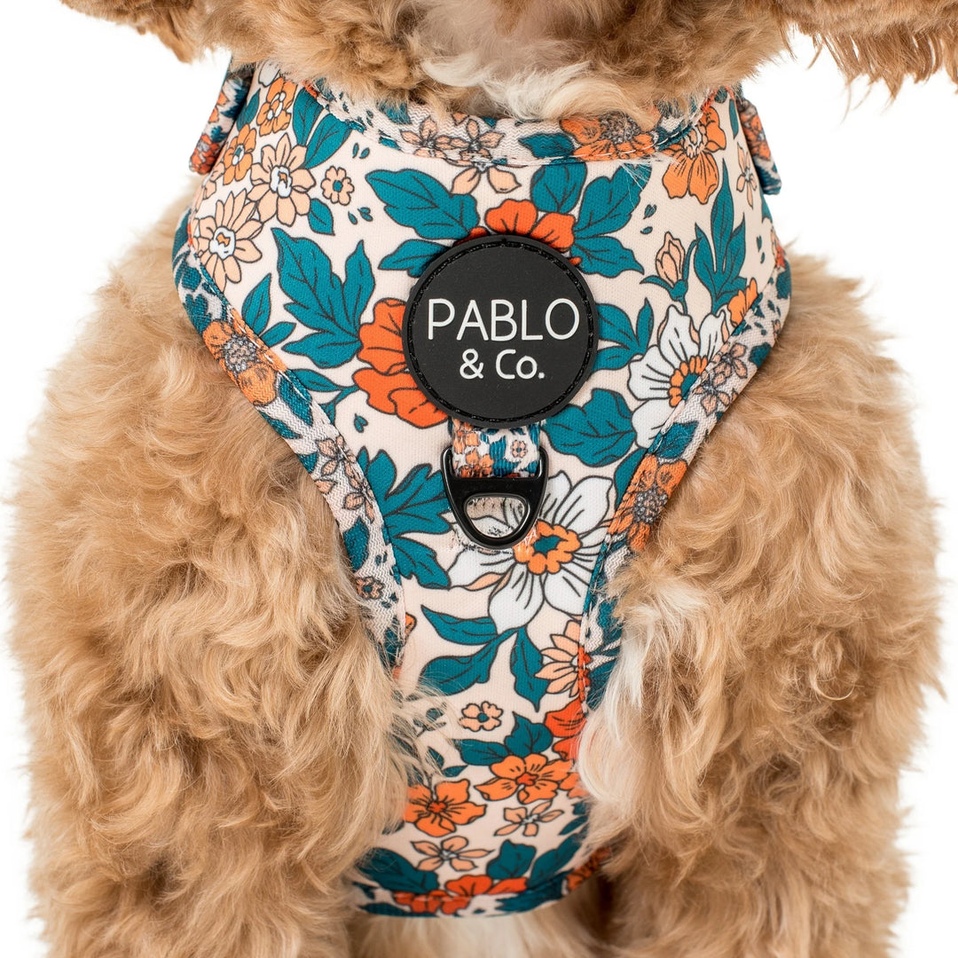 Wildflowers- Adjustable Harness - XS
