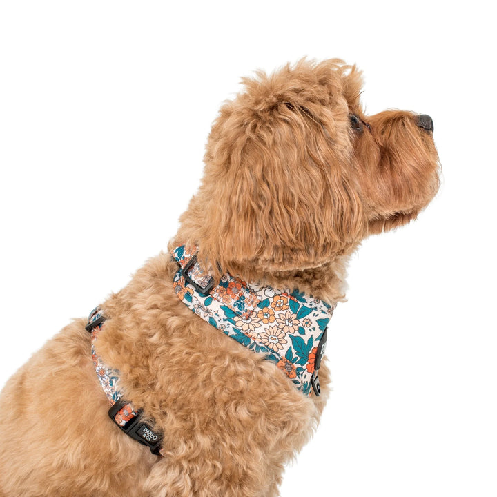 Wildflowers- Adjustable Harness - XS
