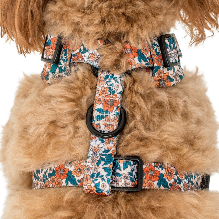 Wildflowers- Adjustable Harness - SMALL